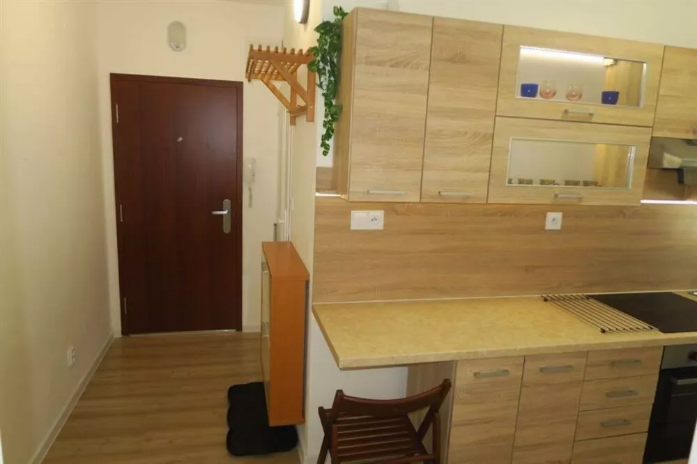 1 izbový byt na prenájom 31m2, Centrum Bratislavská, Holíč, 162654_5