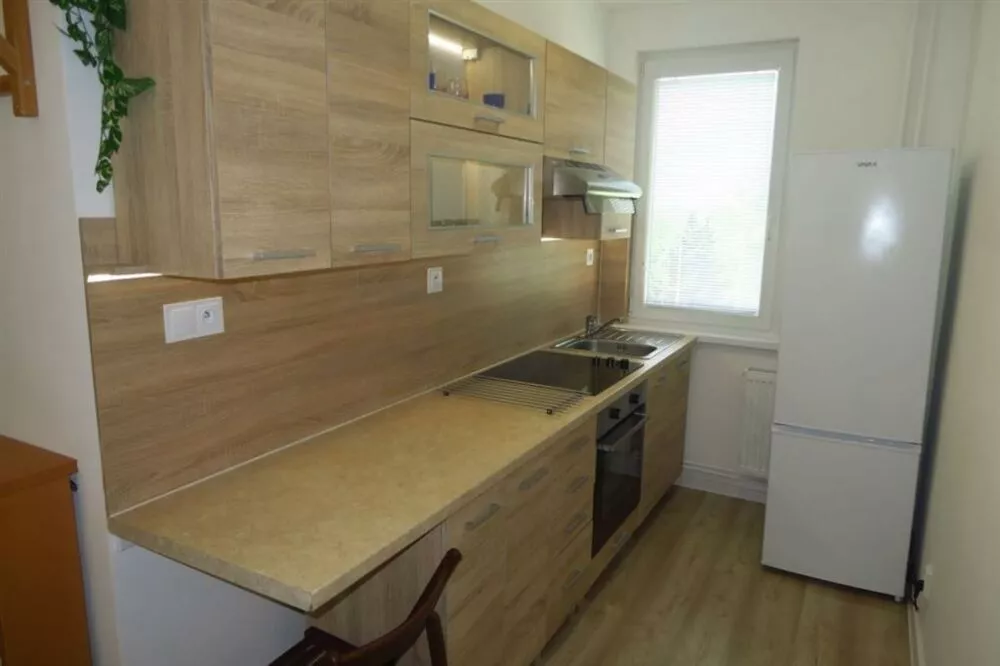 1 izbový byt na prenájom 31m2, Centrum Bratislavská, Holíč, 162654_7