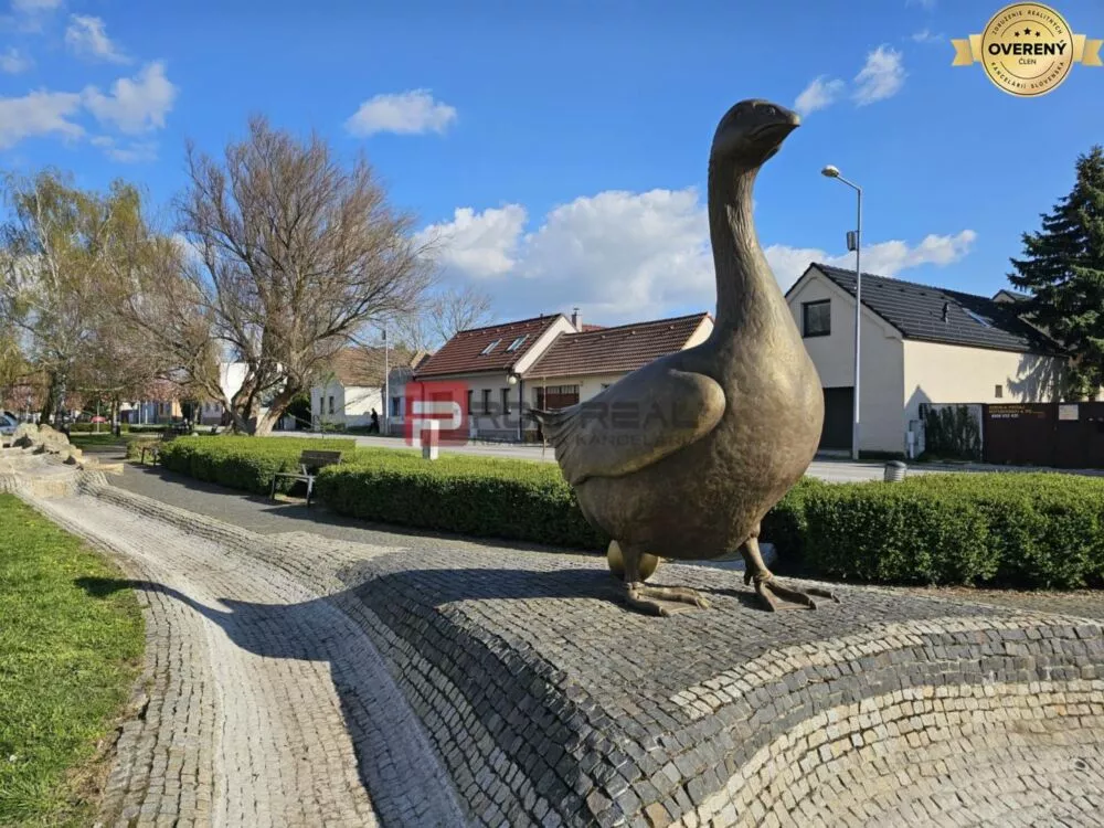 Komerčná zóna na prenájom 800m2, Slovenský Grob, 163175_0