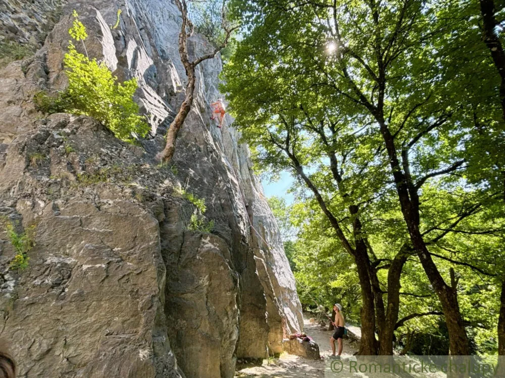 Záhrada na predaj 585m2, Stupava, 156087_11