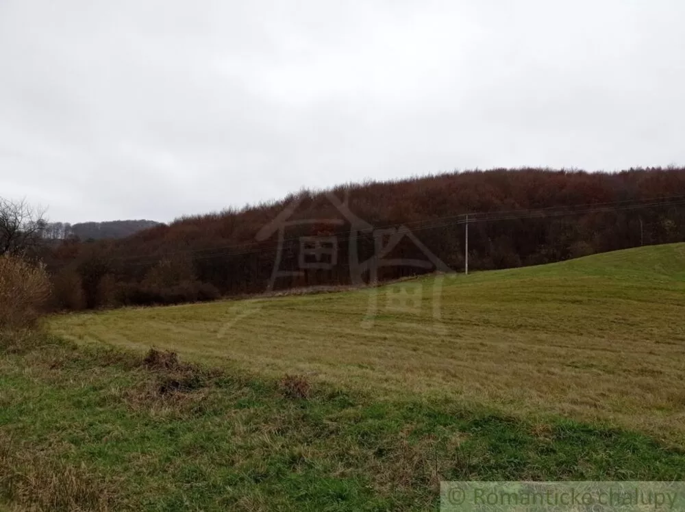 Orná pôda na predaj 8610m2, Papín, 95652_4