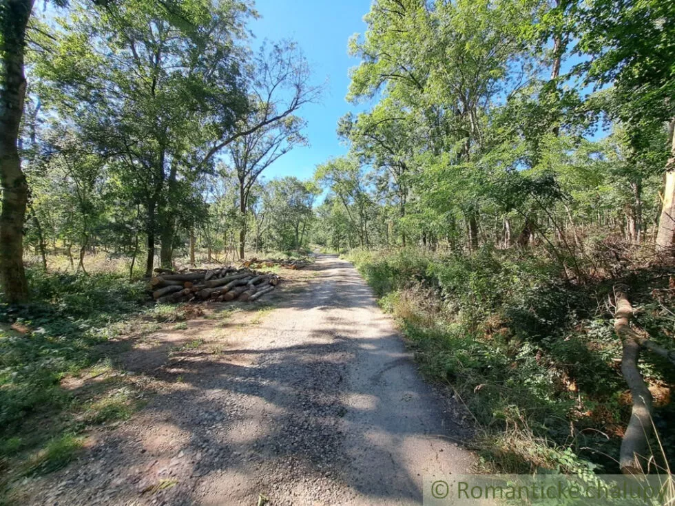 Rodinný dom na predaj 140m2, Štitáre, 160986_39