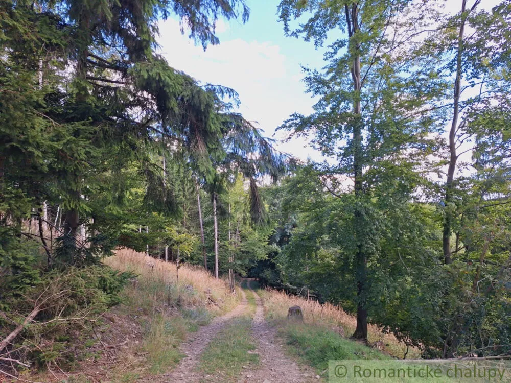 Vidiecky dom na predaj 117m2, Turzovka, 163495_25