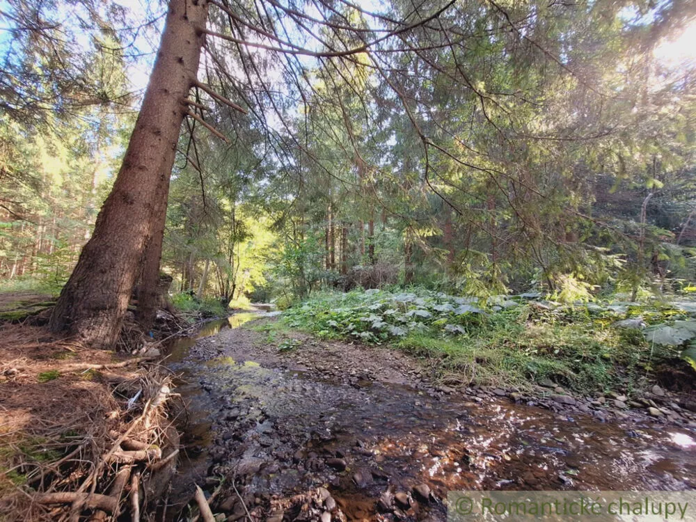 Vidiecky dom na predaj 57m2, Olešná, 160960_28