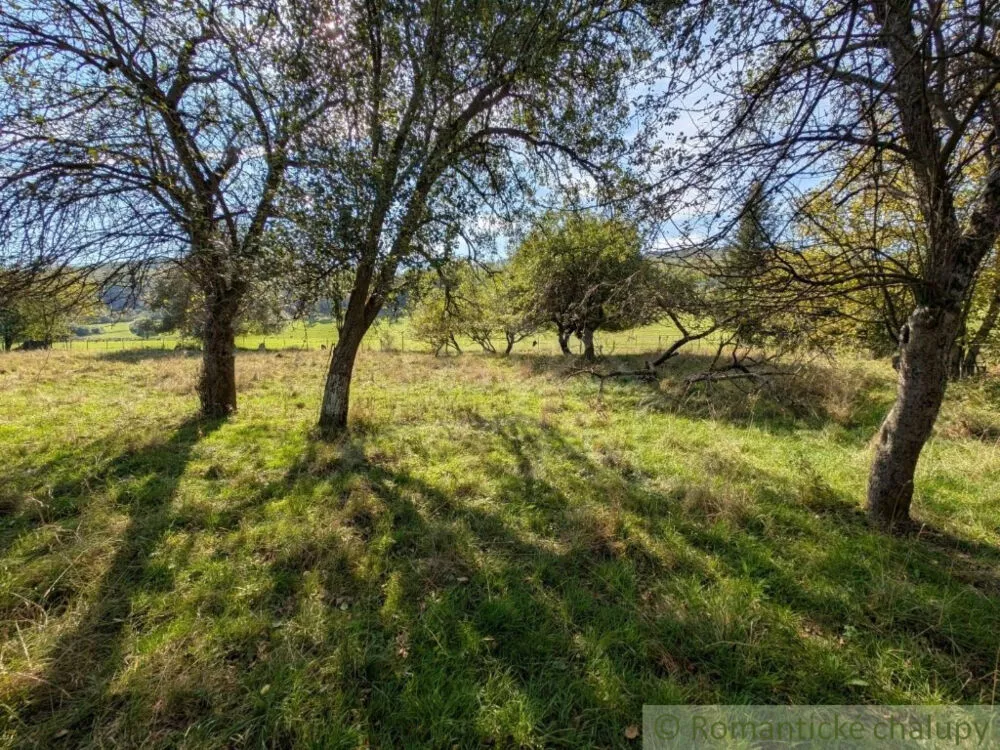 Rodinný dom na predaj 80m2, Medzilaborce, 163554_43