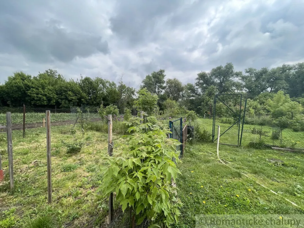 Rodinný dom na predaj 250m2, Branč, 154362_33