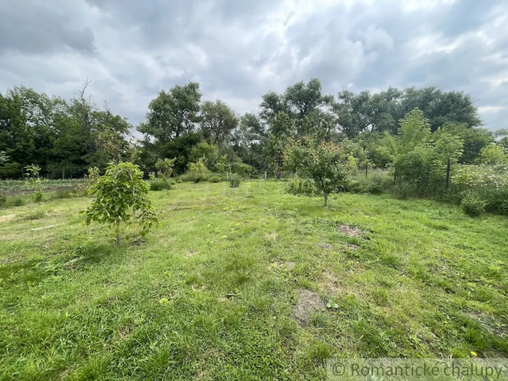 Rodinný dom na predaj 250m2, Branč, 154362_34