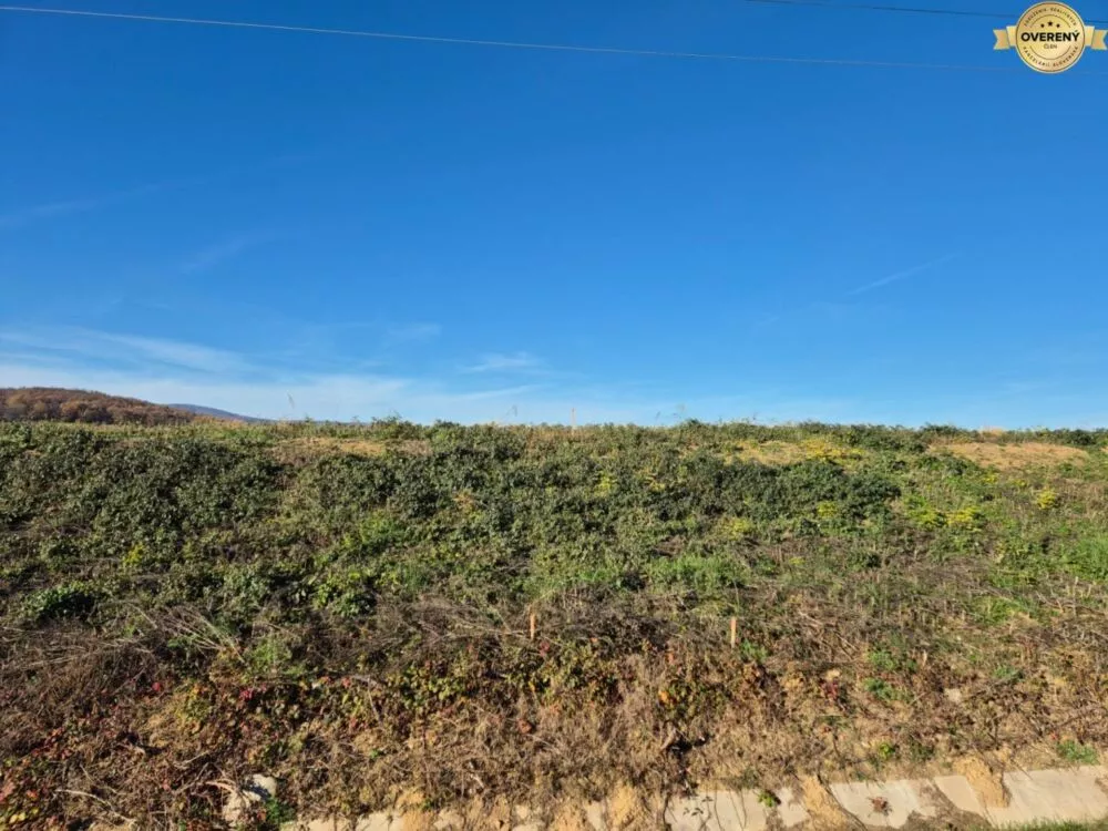 Pozemok pre rod. domy na predaj 981m2, Velčice, 163610_1