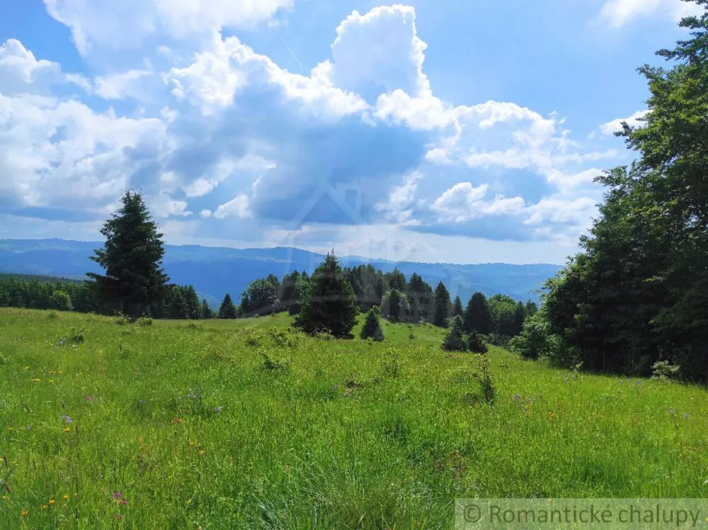 Lúka, pasienok na predaj 15465m2, Hriňová, 139924_5