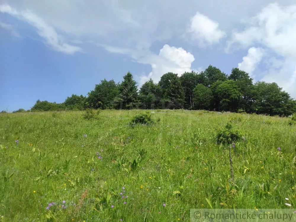 Lúka, pasienok na predaj 15465m2, Hriňová, 139924_11