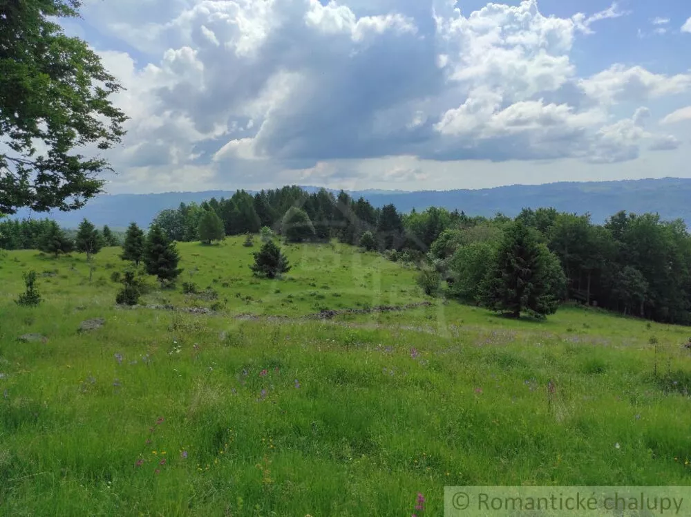 Lúka, pasienok na predaj 15465m2, Hriňová, 139924_12