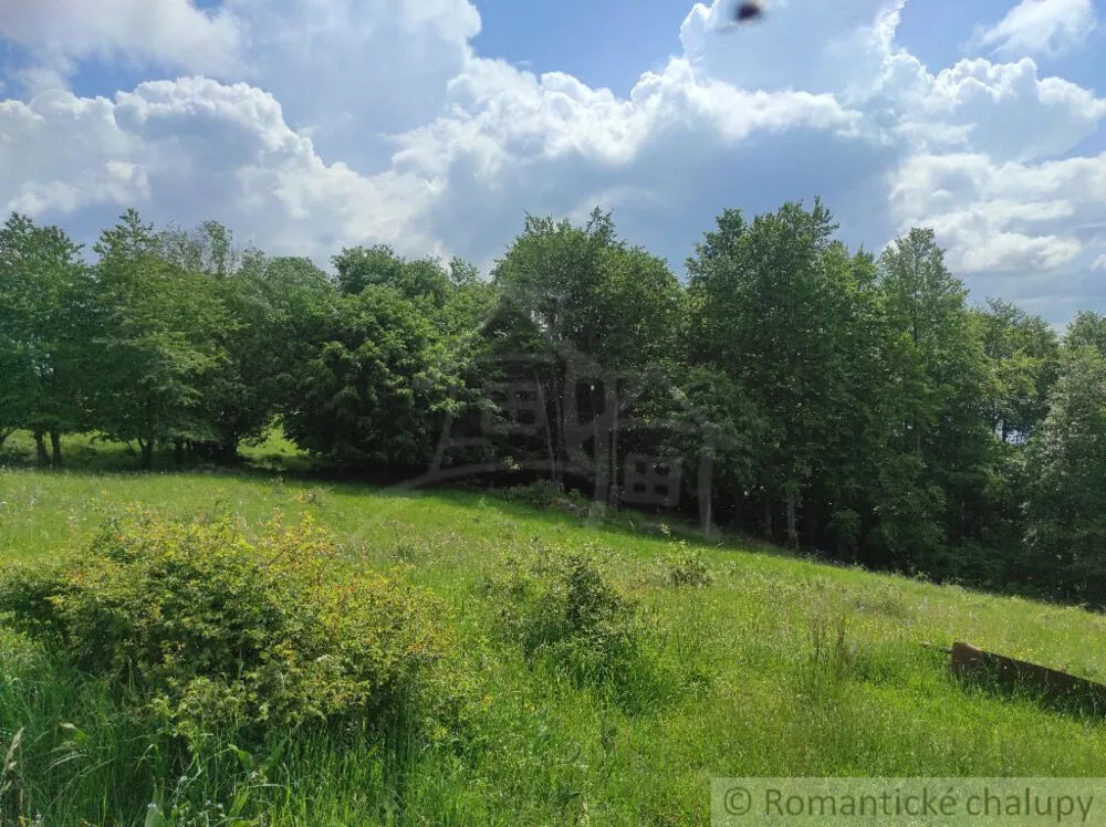 Lúka, pasienok na predaj 15465m2, Hriňová, 139924_13