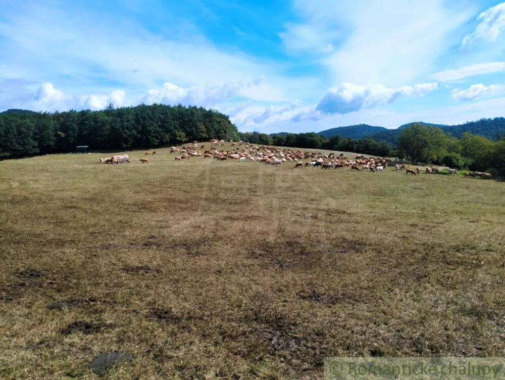 Rodinný dom na predaj 250m2, Nová Lehota, 161547_53