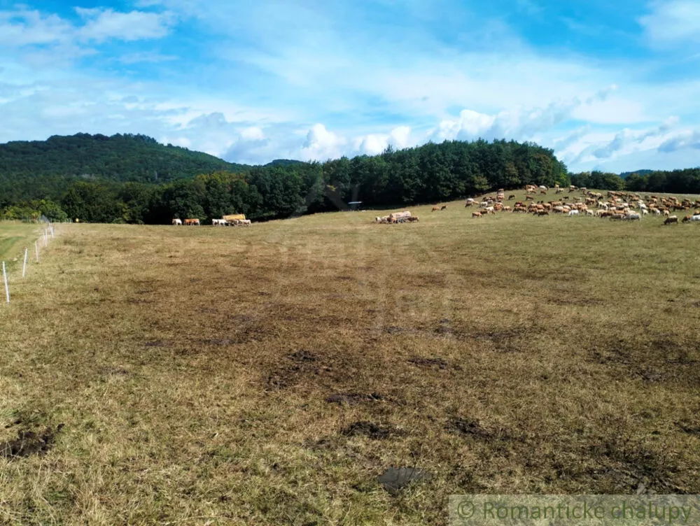 Rodinný dom na predaj 250m2, Nová Lehota, 161547_54