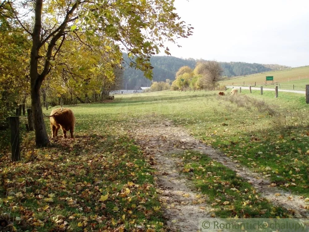 Rodinný dom na predaj 420m2, Modrovka, 125943_36