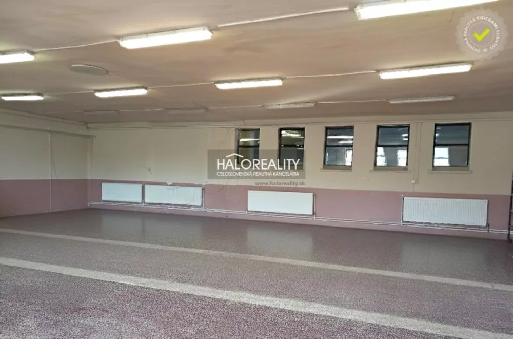 Skladové priestory na prenájom 242m2, Trebišov, 162460_1