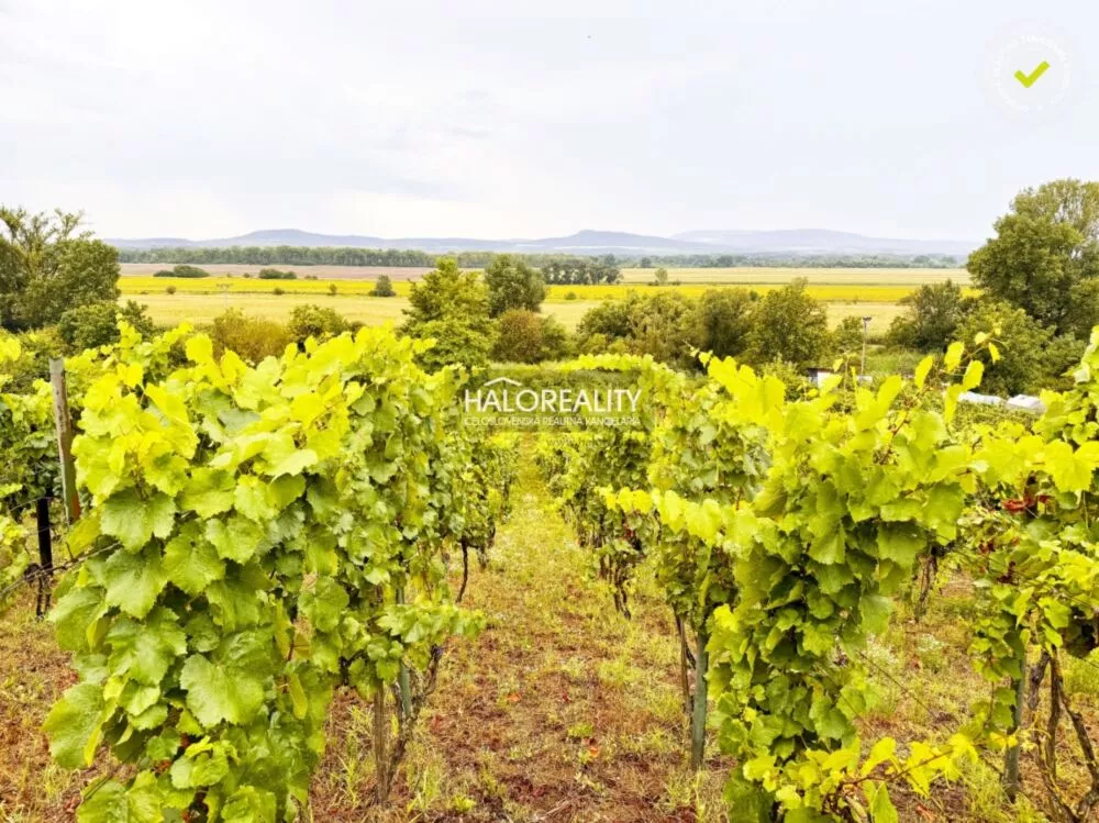 Chata a chalupa na predaj 80m2, Kamenný Most, 176349_9