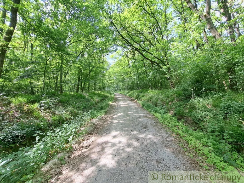 Rodinný dom na predaj 240m2, Jelenec, 148563_38