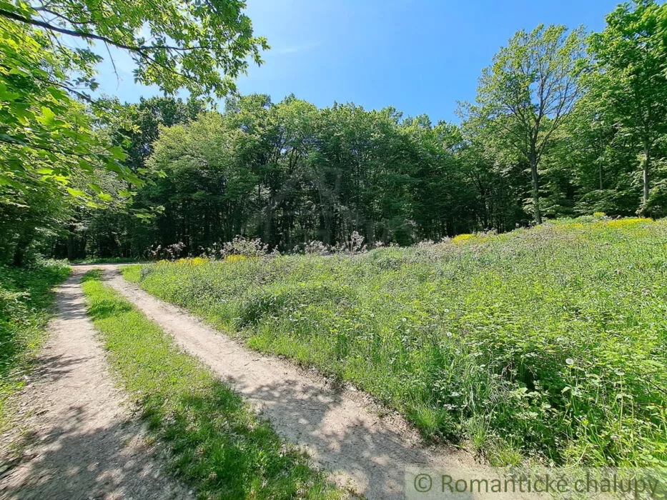 Rodinný dom na predaj 240m2, Jelenec, 148563_40