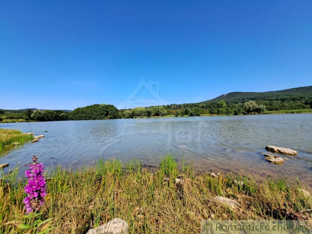 Rodinný dom na predaj 240m2, Jelenec, 148563_41