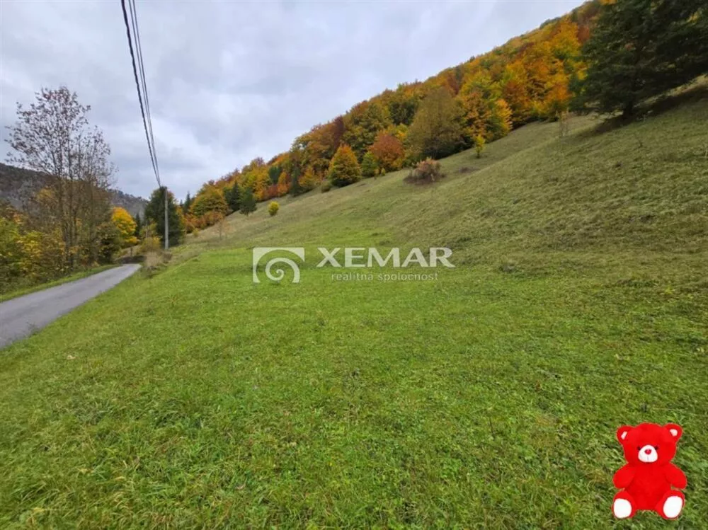 Iný objekt na bývanie na predaj 3944m2, Staré Hory, 177016_8