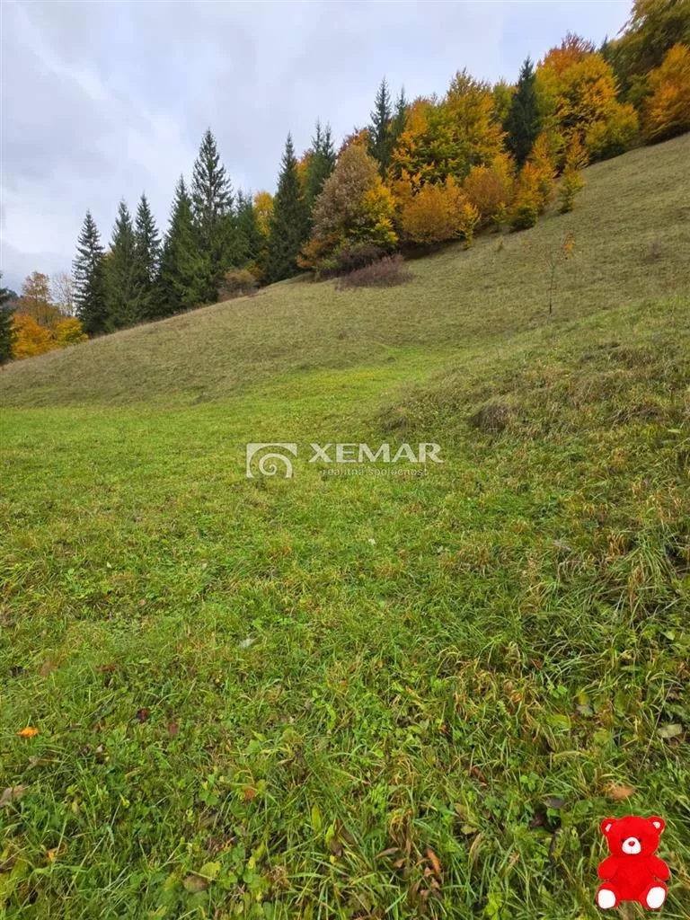 Iný objekt na bývanie na predaj 3944m2, Staré Hory, 177016_9