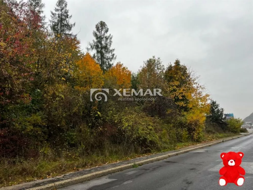 Komerčná zóna na predaj 1625m2, Zvolenská cesta, Banská Bystrica, 177018_4