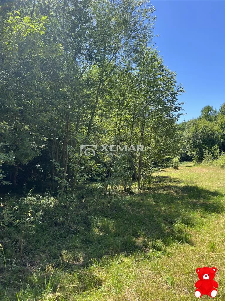 Rekreačný pozemok na predaj 535m2, Mýto pod Ďumbierom, 156870_6