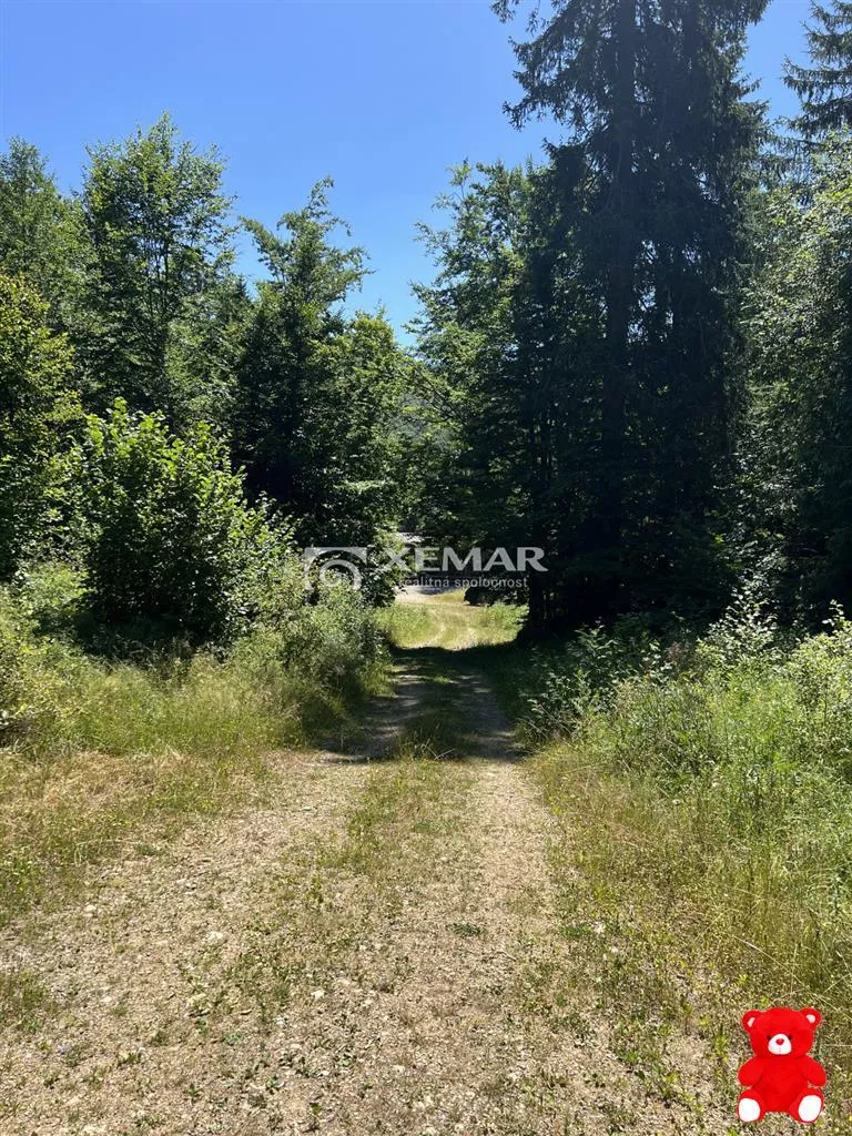 Rekreačný pozemok na predaj 535m2, Mýto pod Ďumbierom, 156870_7