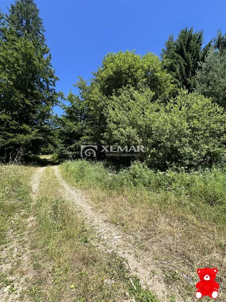 Rekreačný pozemok na predaj 625m2, Mýto pod Ďumbierom, 156472_3