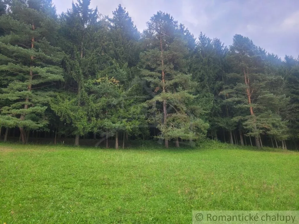 Lúka, pasienok na predaj 1000m2, Lúky, 130334_8