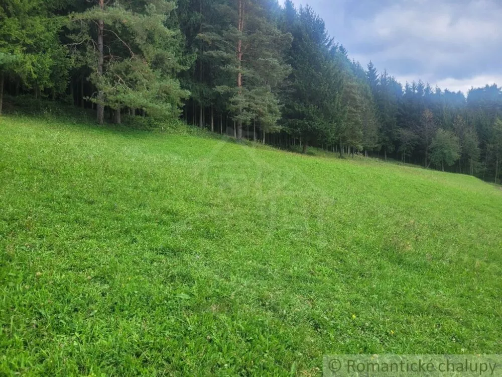 Lúka, pasienok na predaj 1000m2, Lúky, 130334_10