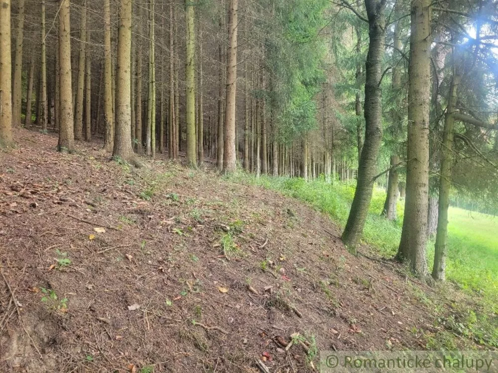 Lúka, pasienok na predaj 1000m2, Lúky, 130334_14