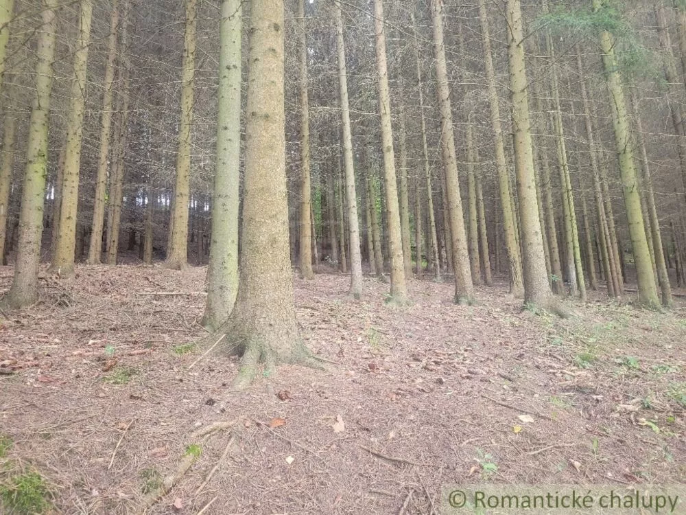 Lúka, pasienok na predaj 1000m2, Lúky, 130334_15