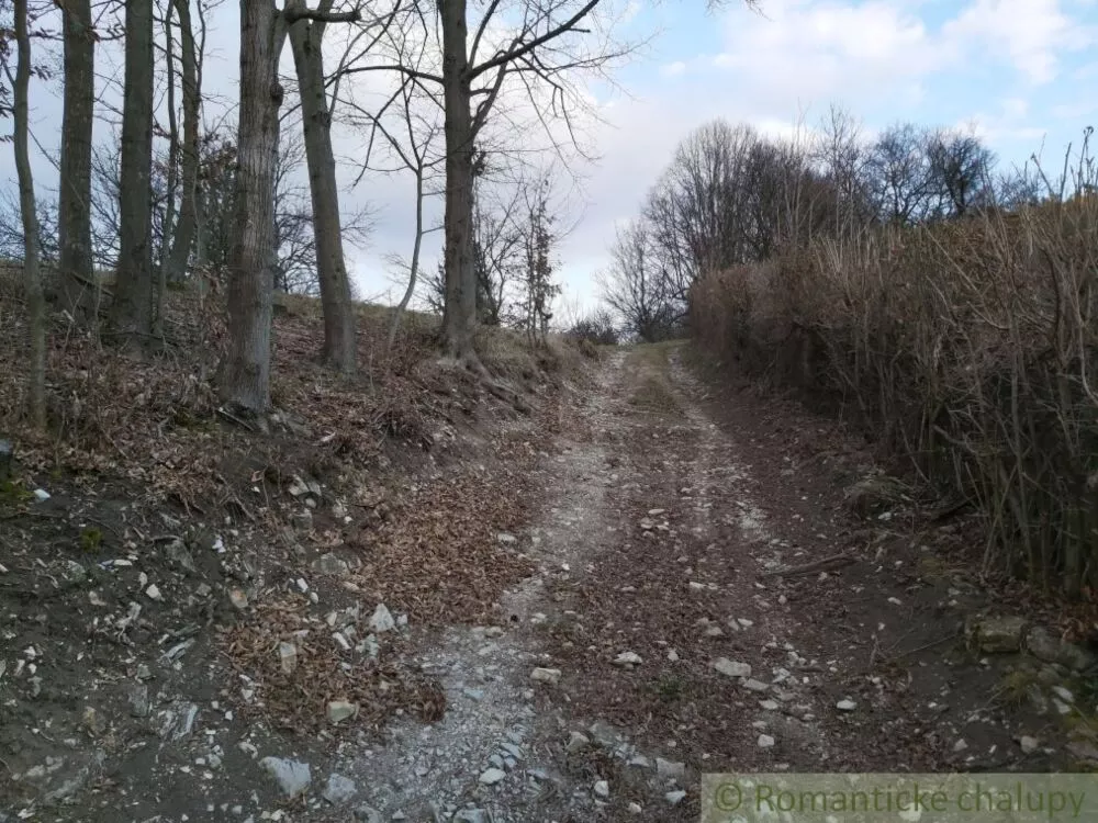 Lúka, pasienok na predaj 1000m2, Púchov, 82940_39