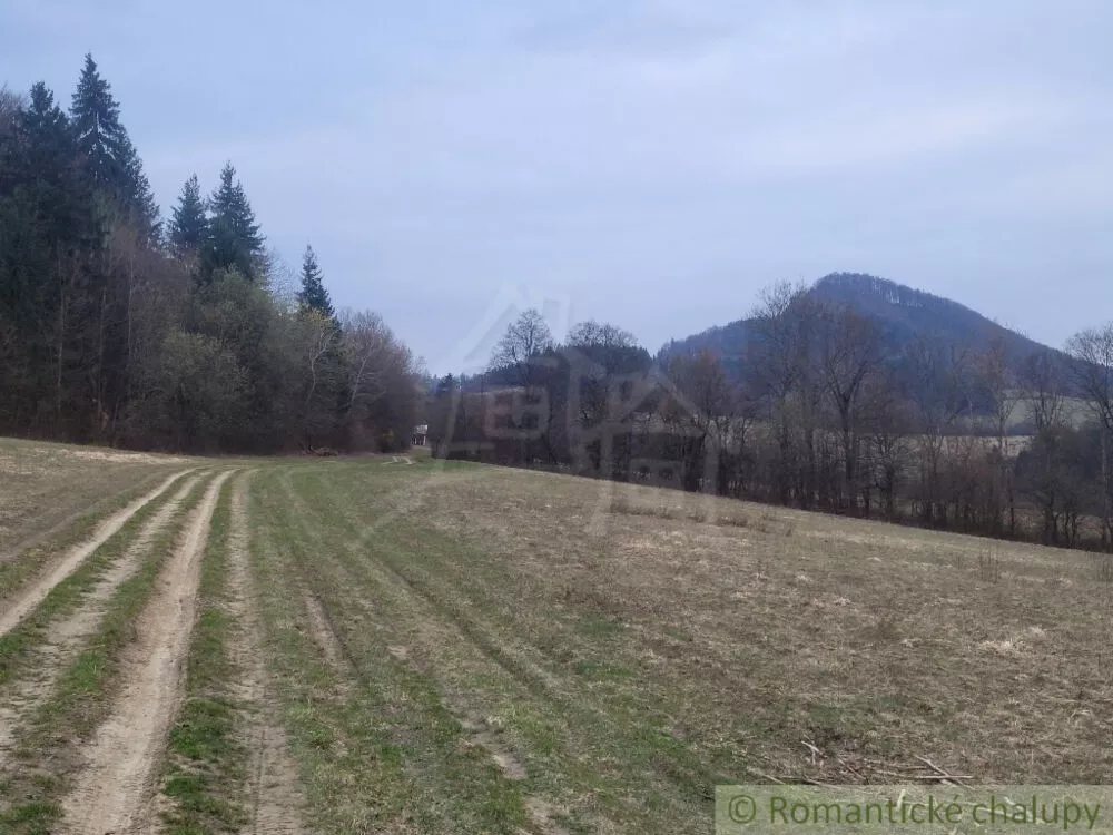 Lúka, pasienok na predaj 4188m2, Jasenica, 137581_1