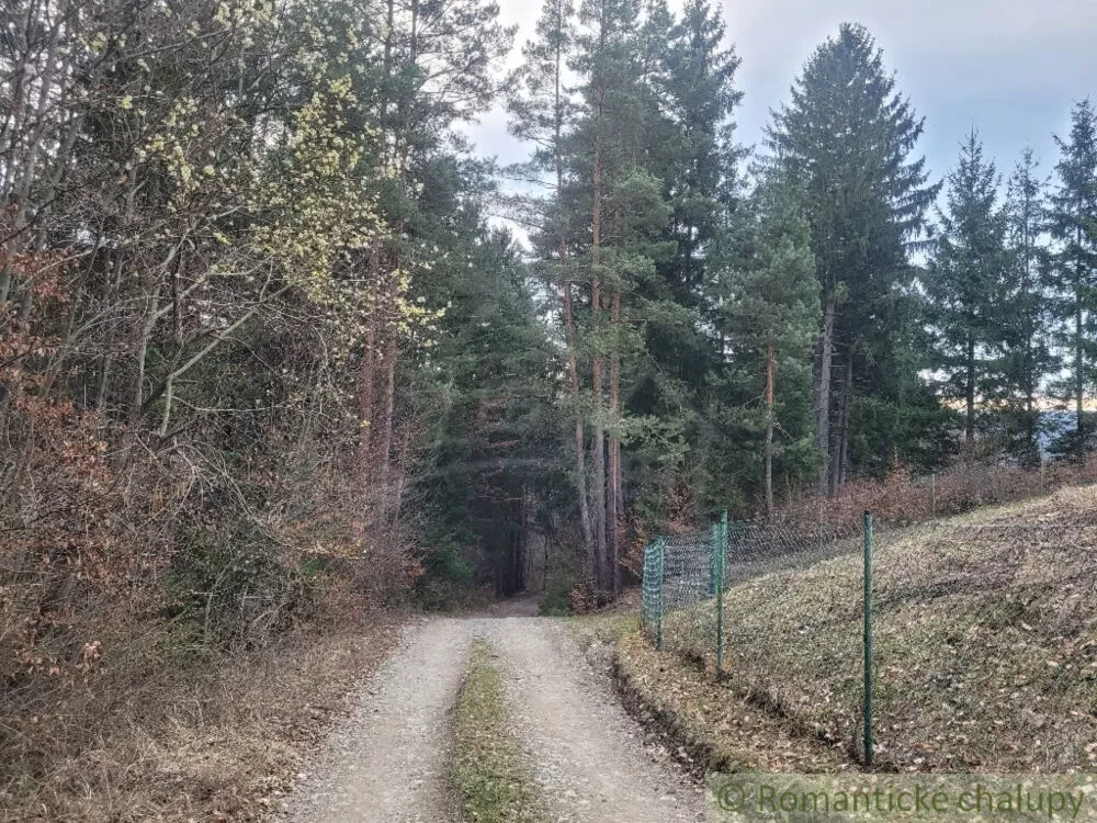 Lúka, pasienok na predaj 4188m2, Jasenica, 137581_3