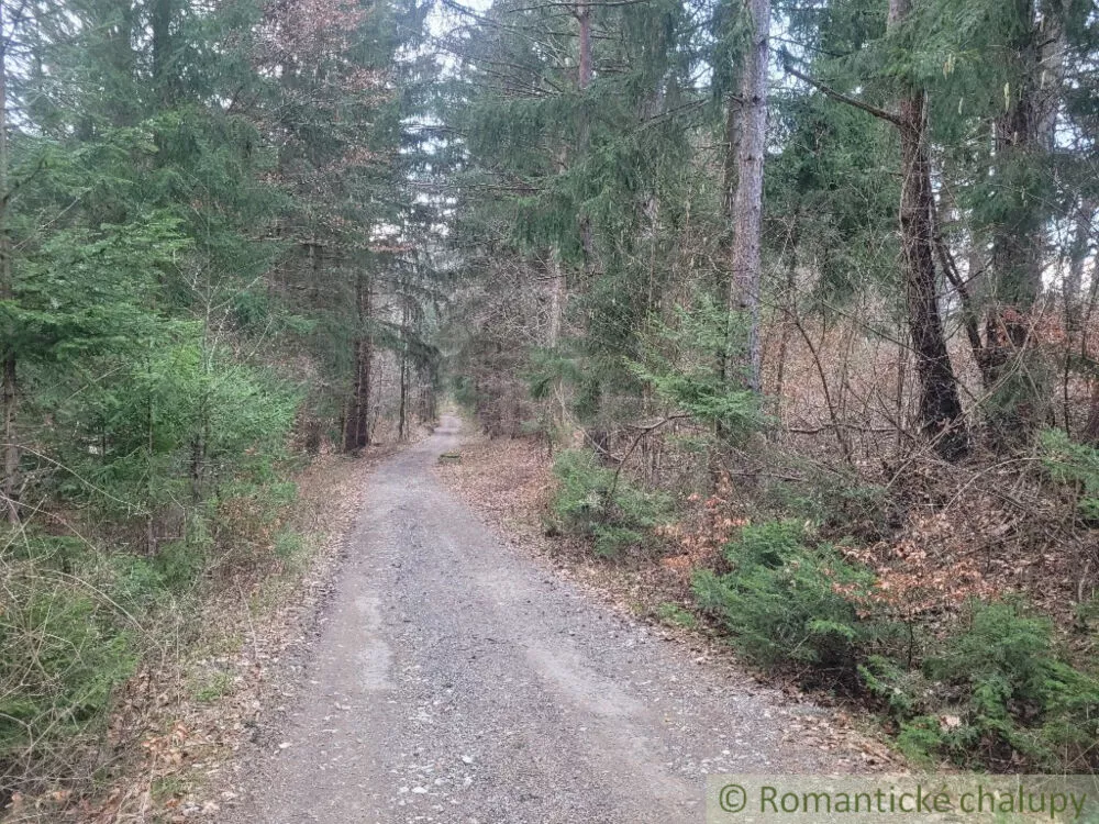 Lúka, pasienok na predaj 4188m2, Jasenica, 137581_4