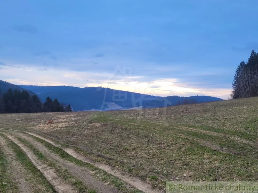 Lúka, pasienok na predaj 4188m2, Jasenica, 137581_6