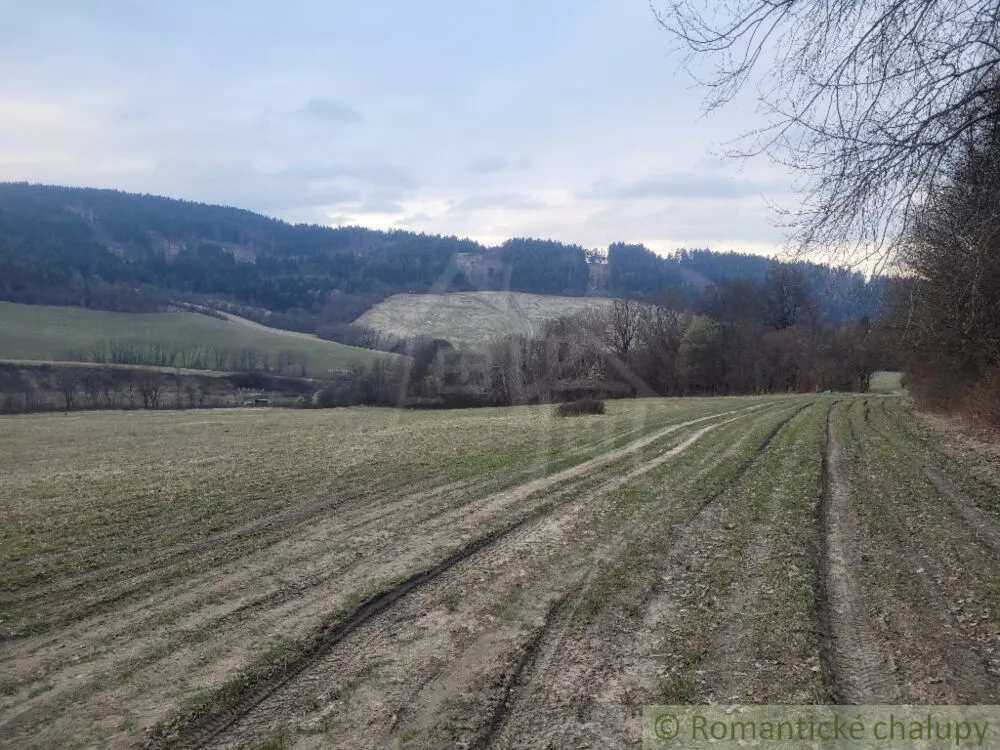 Lúka, pasienok na predaj 4188m2, Jasenica, 137581_7