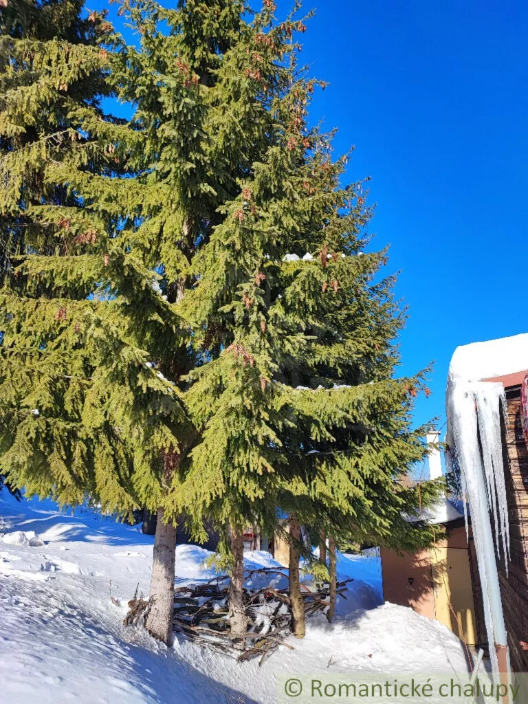 Rodinný dom na predaj 250m2, , 147015_37