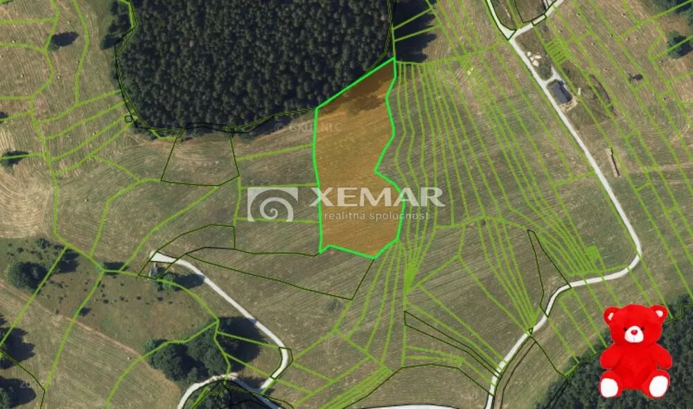 Lúka, pasienok na predaj 9023m2, Donovaly, 177368_0