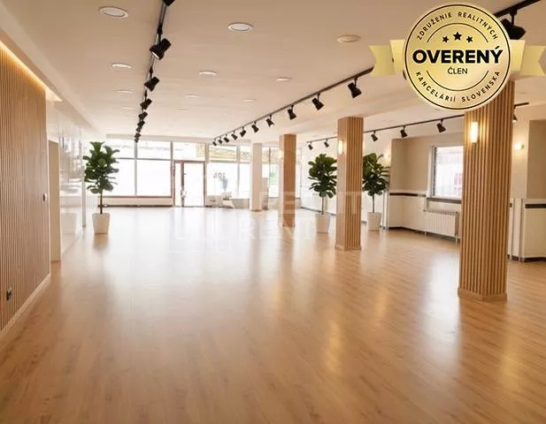 Obchodné priestory na prenájom 250m2, Žilina, 177423_5
