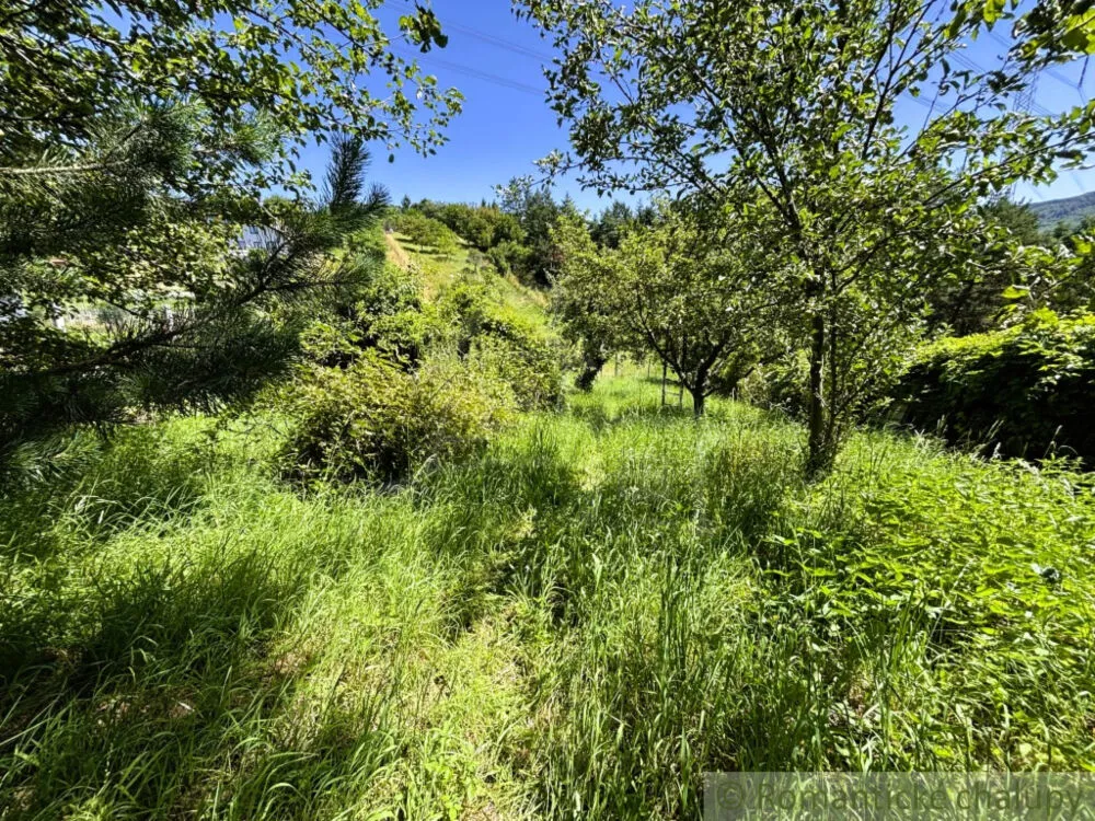 Záhrada na predaj 1199m2, Stupava, 155736_3