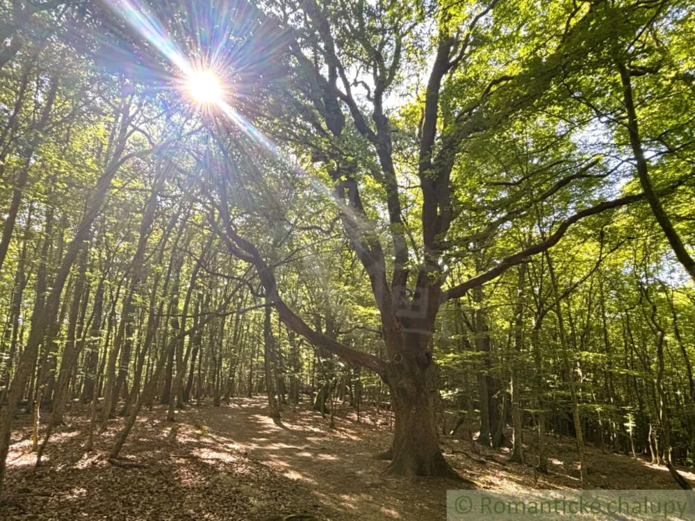 Záhrada na predaj 1199m2, Stupava, 155736_12