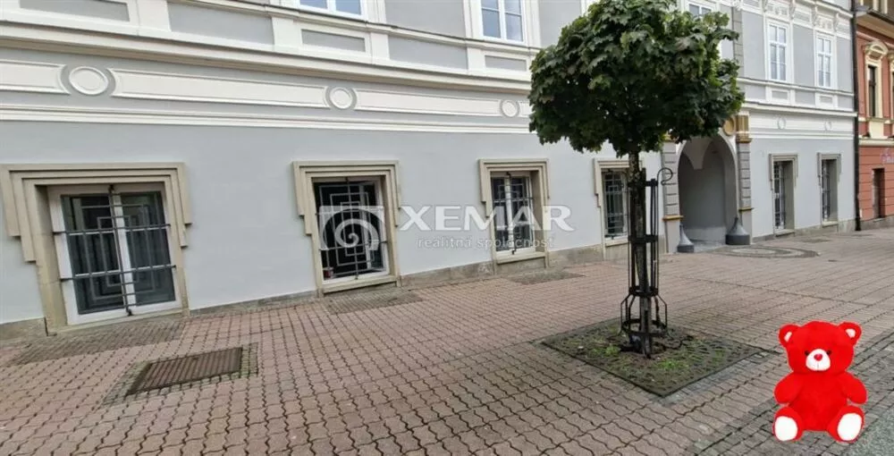 Objekt pre obchod na prenájom 100m2, Dolná, Banská Bystrica, 158435_3
