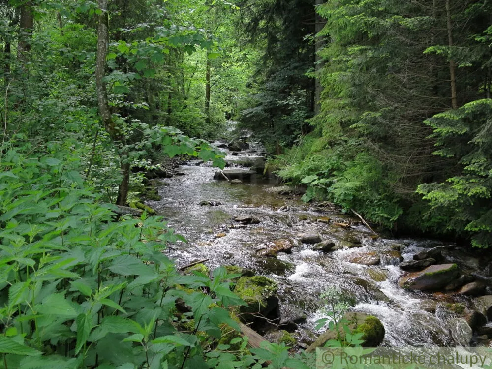 Rodinný dom na predaj 100m2, Nálepkovo, 162814_47