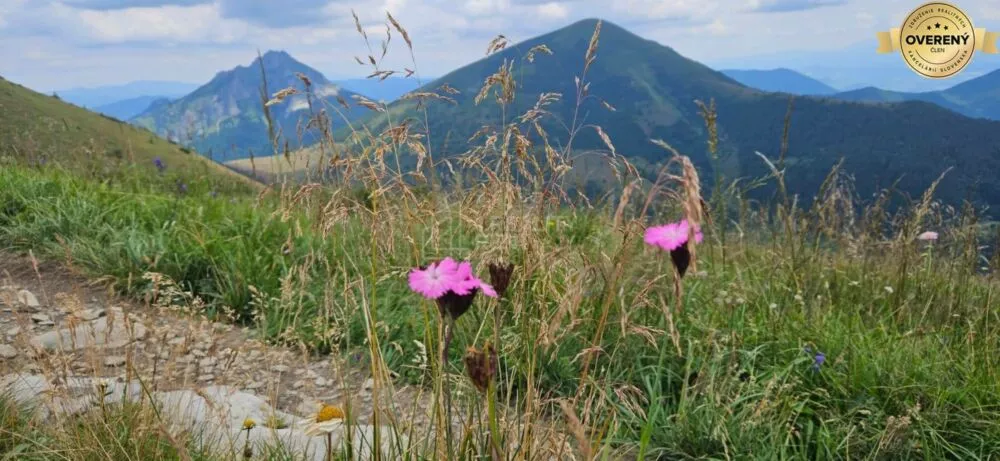 Apartmán na predaj 67m2, Vrátna, Terchová, 177749_13