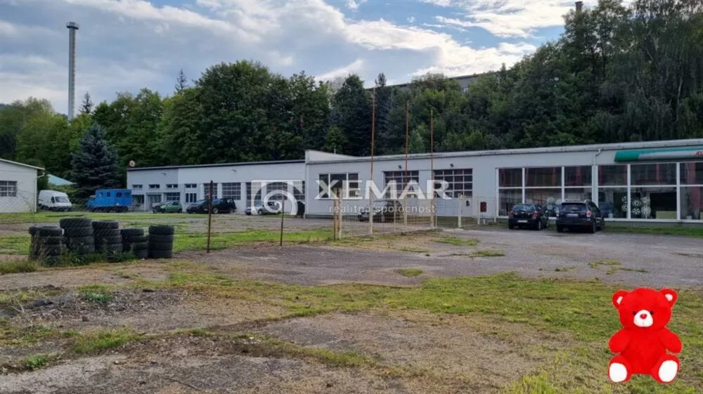 Priemyselná zóna na predaj 2950m2, Strojárenská, Valaská, 158520_3