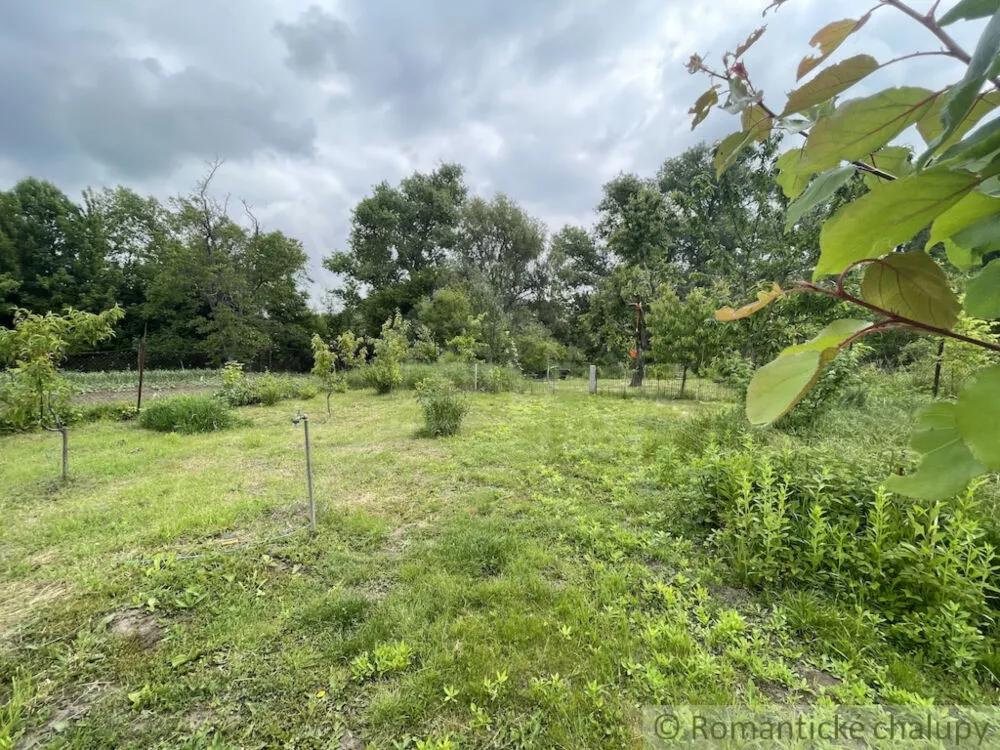 Rodinný dom na predaj 250m2, Branč, 154362_35